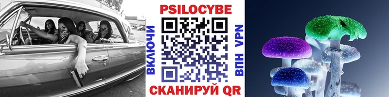 Галлюциногенные грибы Psilocybe  купить закладку  Верея 